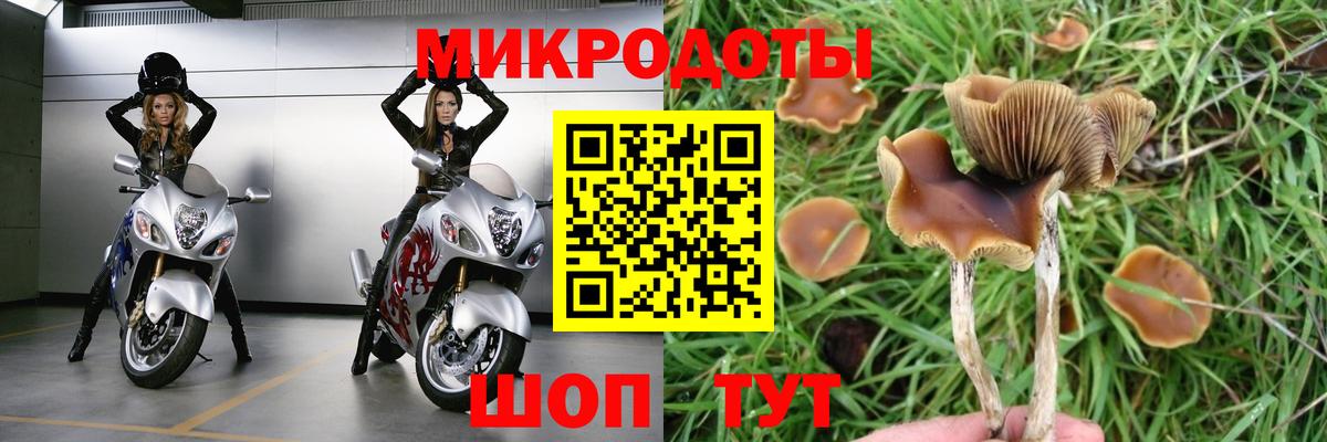 Кунгур  Галлюциногенные грибы MAGIC MUSHROOMS  Вход с VPN 